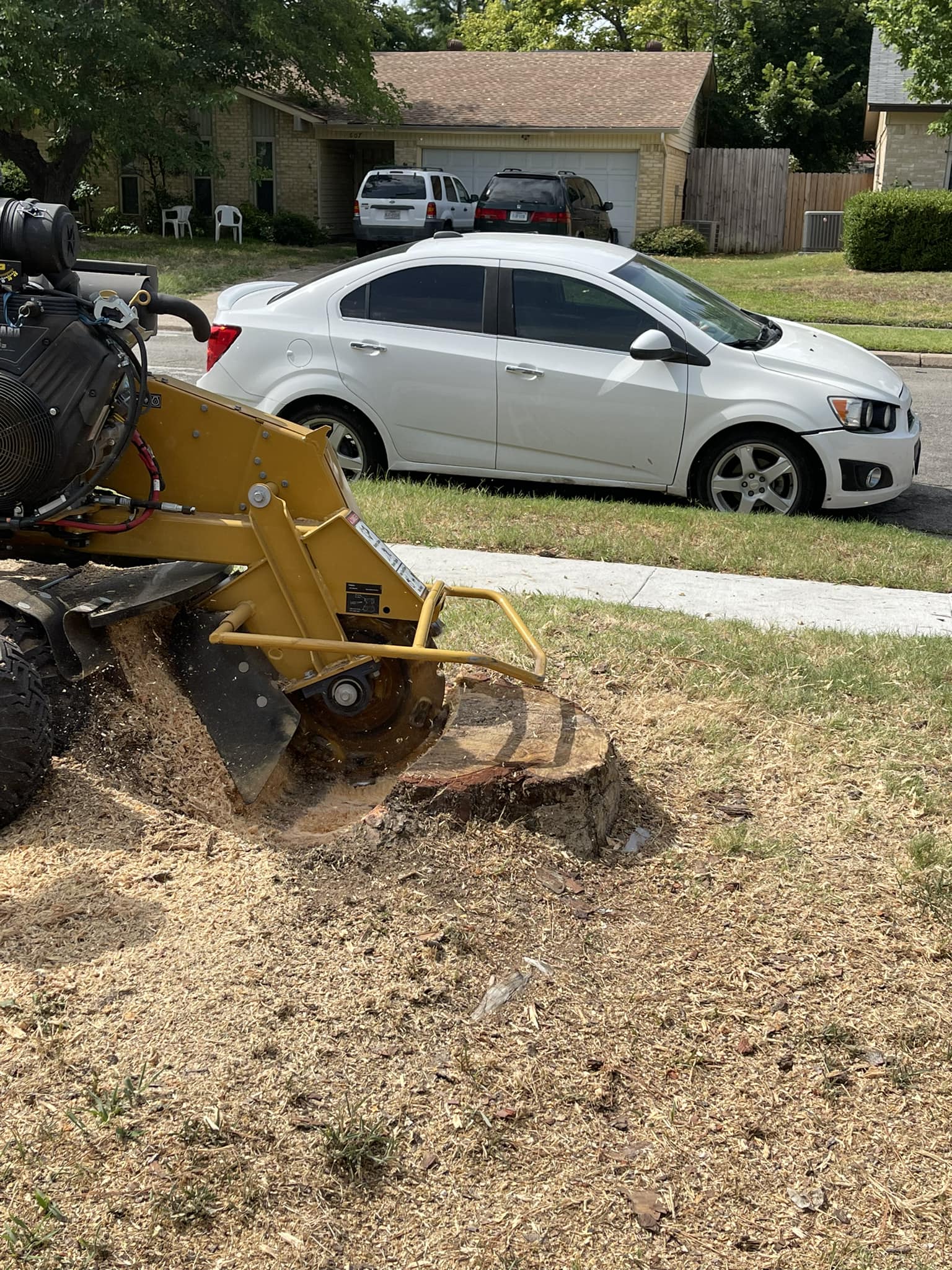 Stump grinder removing a tree stump